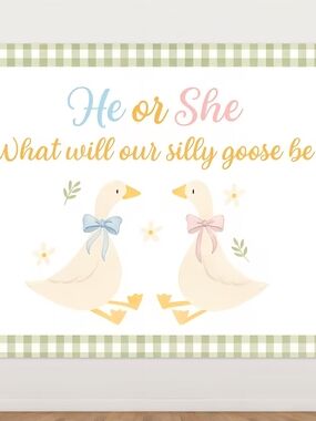 He or She Silly Goose Gender Reveal Backdrop - Blue & Pink